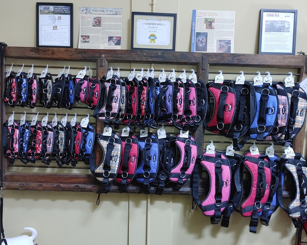 Bark Appeal Harnesses