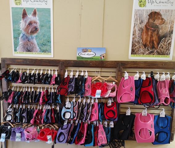 Bark Appeal Harnesses